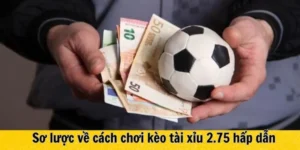 Hướng Dẫn Chi Tiết Cách Đọc Và Phân Tích Kèo 2.75 Thật Chính Xác