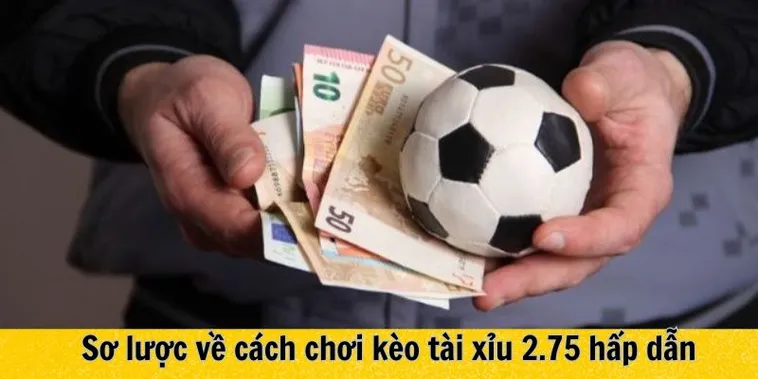 Hướng Dẫn Chi Tiết Cách Đọc Và Phân Tích Kèo 2.75 Thật Chính Xác