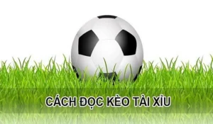 Phân Tích Kèo Tài Xỉu Trong Các Giải Đấu Bóng Đá Lớn